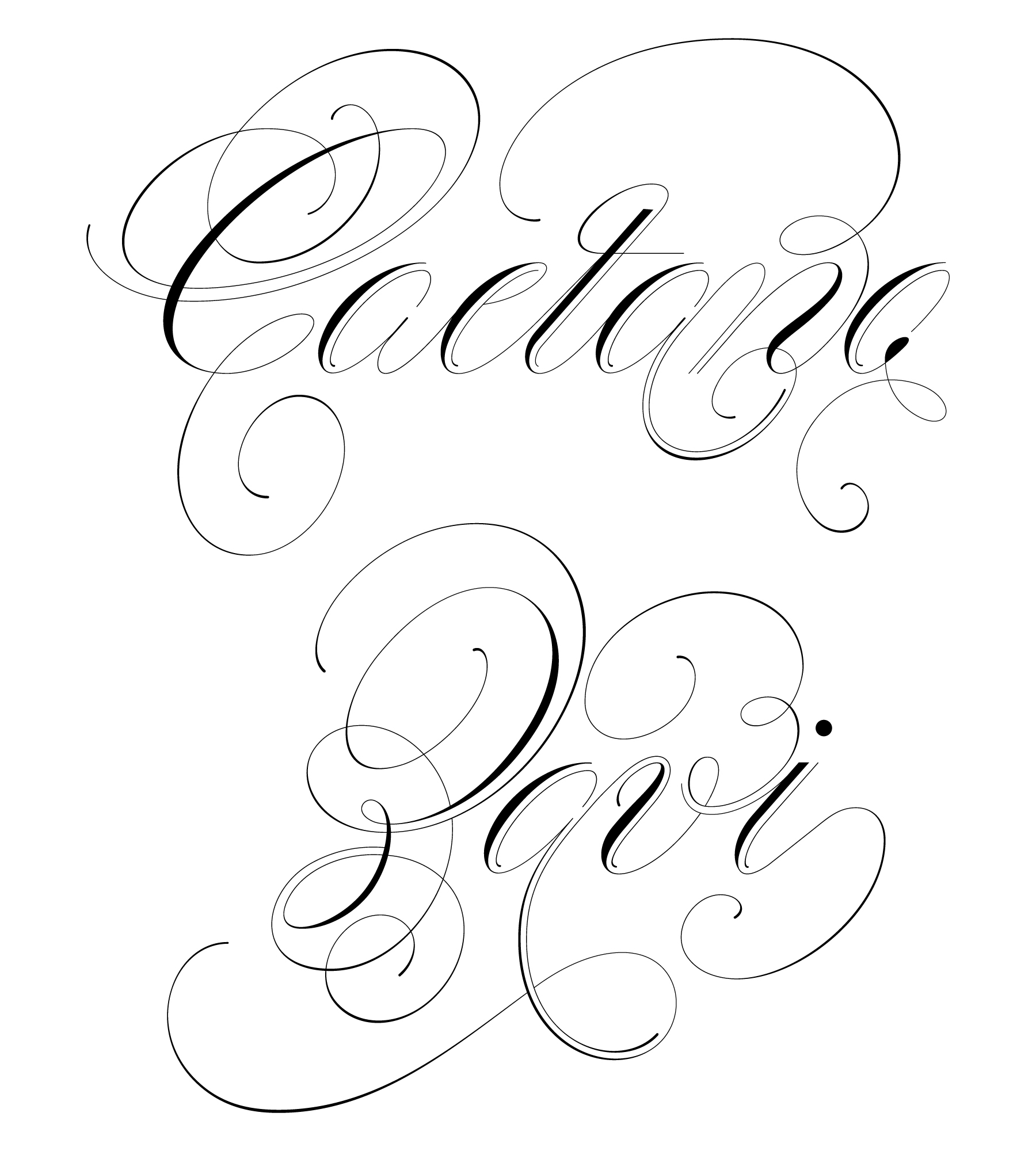 CAETANOZAVI 1 copy v2